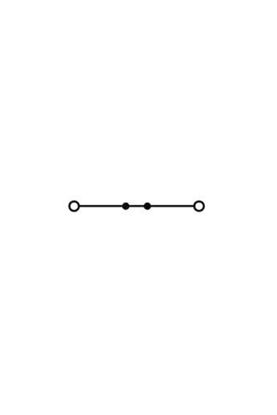 Wago 2116-1201 20 Adet 25mm2 Gri 2 İletkenli Kollu ve Yaylı Ray Klemens - Thumbnail