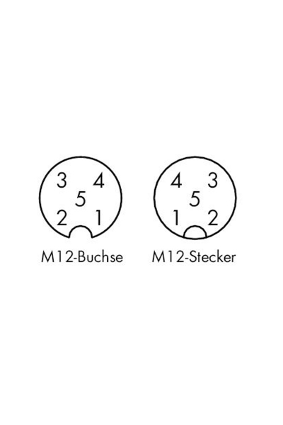 Wago 756-5403/050-010 5 Kutuplu 1m Sensör Aktüatör Kablosu - Thumbnail